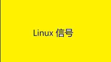 严字当头谋打赢 聚力解难强保障