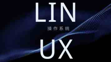 刘玥和洋外三黑主演的电视剧有哪些？别信传言