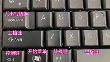 歪歪官方网站｜正确官网入口与各版本区别一次说清