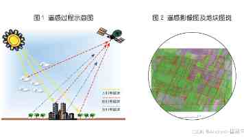 伊人久久伊人测评：从注册到见面全流程防骗手册